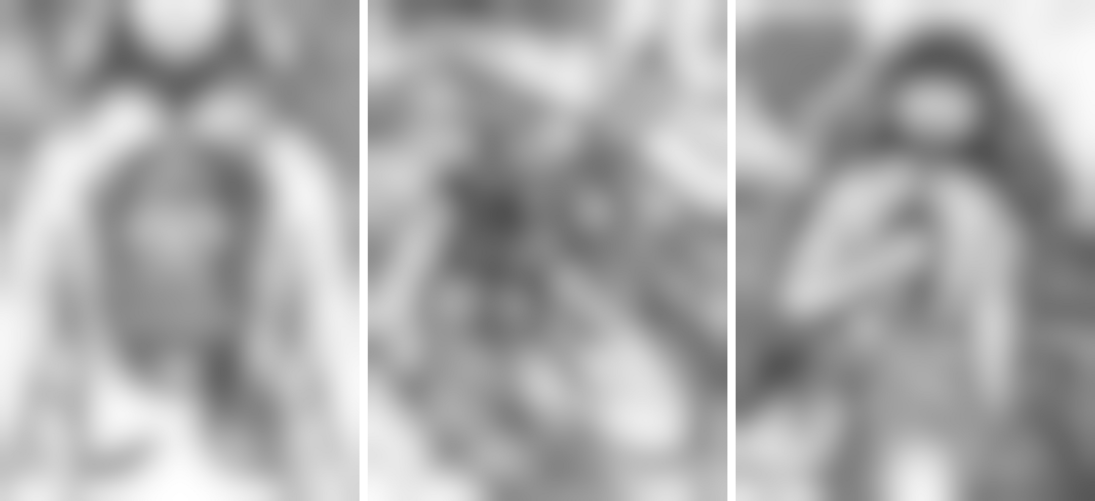 Bingmer Dissection (image links to uncensored ver.)