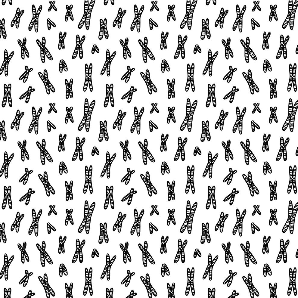 Chromosomes pattern