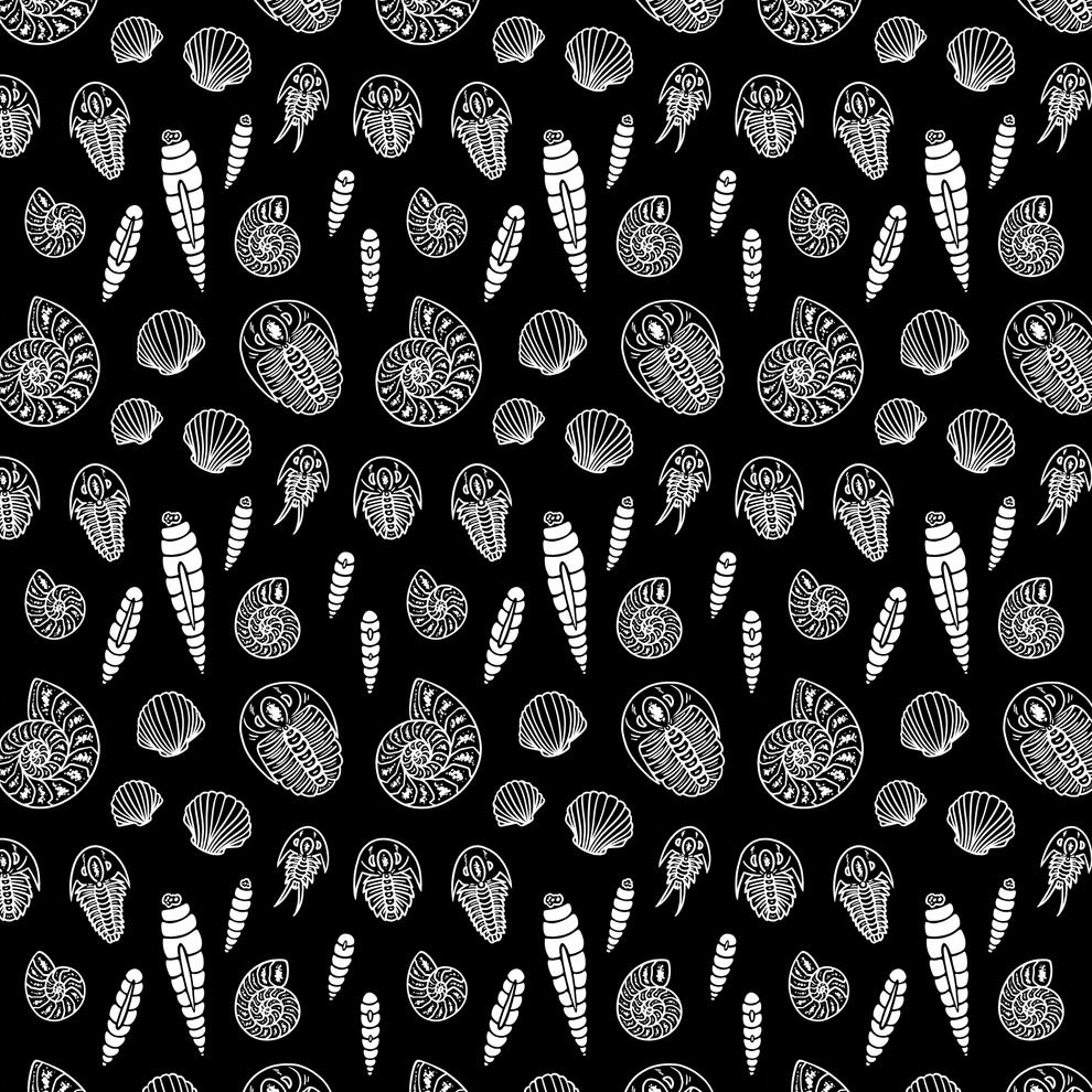 Fossils pattern