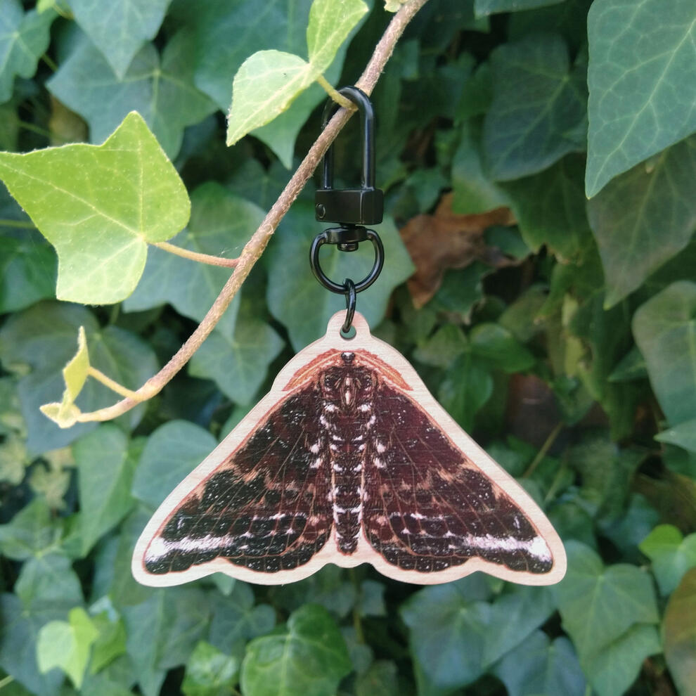 Batwing Moth Keychain