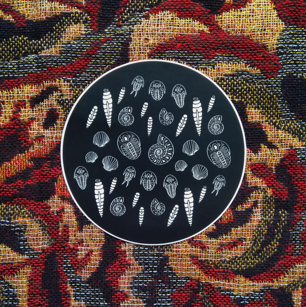Fossil Pattern Sticker